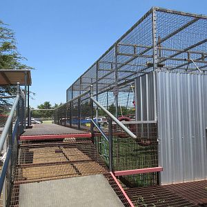 Ring-Tailed Lemur Exhibit - steep visitor ramp