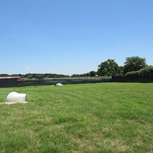 Mixed-Species Exhibit (5 Species)