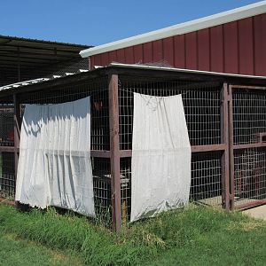 Black Panther Exhibit