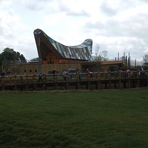 View of the cafe in Islands