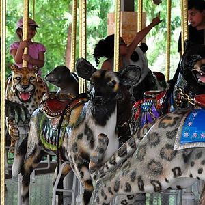 San Antonio Zoo Carousel