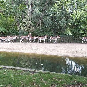 Part of the Kiang Group