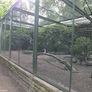 Example of the Enclosure Style in the Pheasantry