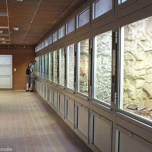 View in the Reptile House
