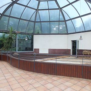 Giant Tortoise Indoor Area