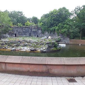 Polar Bear Enclosure