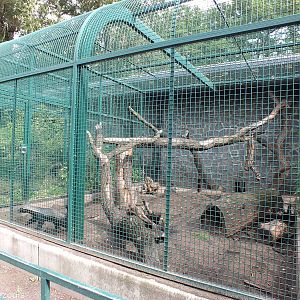 Small Ratel Enclosure
