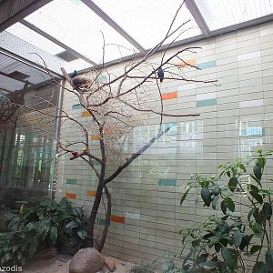 Example of Small Bird Enclosure in the Alfred Brehm Haus