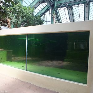 Quite Small Manatee Enclosure