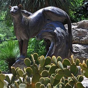 Cougar Statue