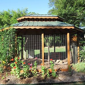 Red Fox Exhibit #1 (currently empty)