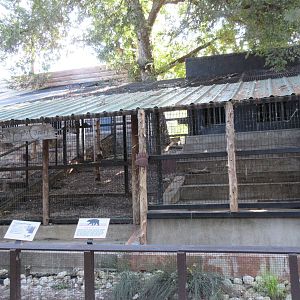 Empty Exhibit (old Syrian Brown Bear exhibit)