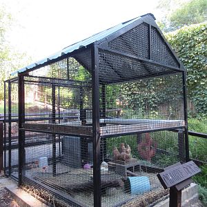 Black-Tailed Prairie Dog Exhibit