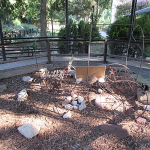 Desert Tortoise/Rabbit Exhibit