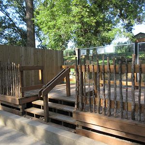 American Alligator Exhibit - Viewing Platform