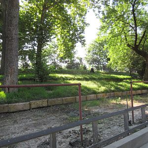 Empty Exhibit (old Nilgai exhibit)