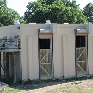 African Savanna - Reticulated Giraffe Barn