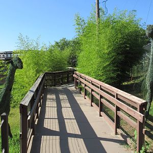 Giraffe Topiary Statues
