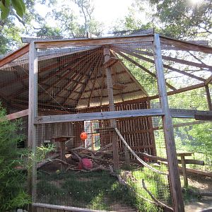 Clouded Leopard Exhibit
