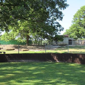 Lesser Rhea/Llama Exhibit