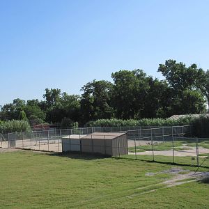 African Savanna - Holding Yards (currently with Grant's Zebra)