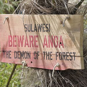 Islands Extra - Warning!