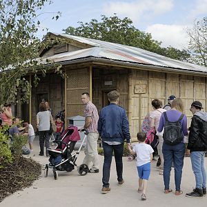 Islands Extra - Toilet block
