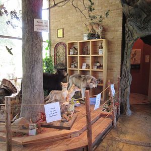Main Building - Entrance Foyer