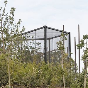 Islands Extra - Hornbill Aviary