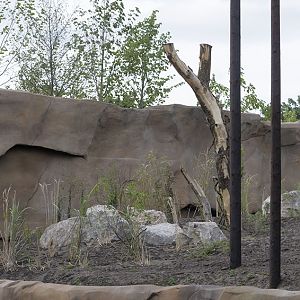 Islands Extra - Orang enclosure planting