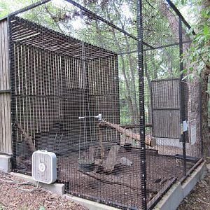 Animals of the World - Raccoon Exhibit