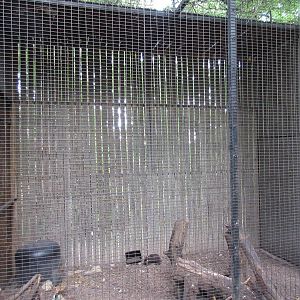 Animals of the World - Cusimanse Mongoose Exhibit