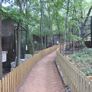 Animals of the World - Visitor Pathway