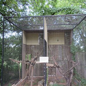 Animals of the World - Empty Exhibit