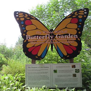 Butterfly Garden - Sign
