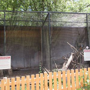 Animals of the World - Gray Fox Exhibit