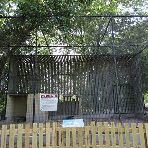 Animals of the World - White-Tailed Deer Exhibit (holding cage)