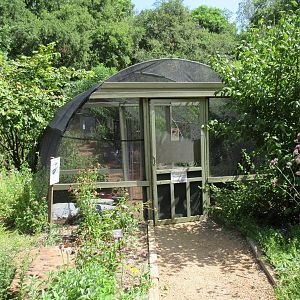 Butterfly Garden (walk-through area)