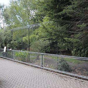 Empty cassowary enclosures
