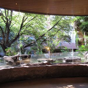 Little Penguin Exhibit