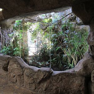 Jungle Jewels Aviary