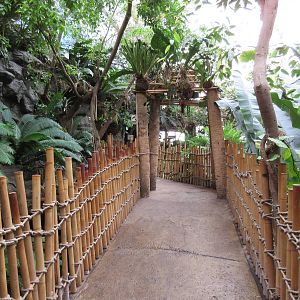 Typical Visitor Pathway