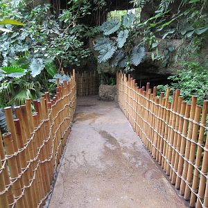 Typical Visitor Pathway