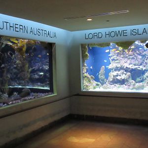 Southern Australia + Lord Howe Island Exhibits