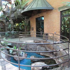 African Penguin Exhibit (half of it)