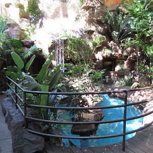 African Penguin Exhibit (half of it)