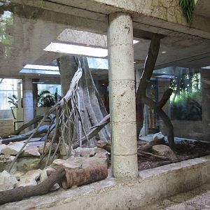 Jaguar Exhibit