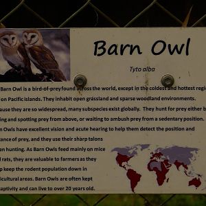 Sign for Barn Owl