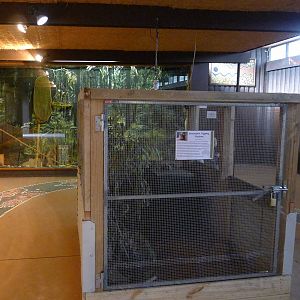 Mountain Pygmy Possum cage