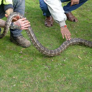 Python talk and demonstration